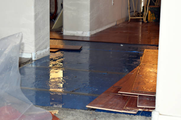 Professional Flood Cleanup technician working in Allendale, NJ
